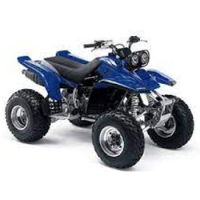 Warrior350 YFM
